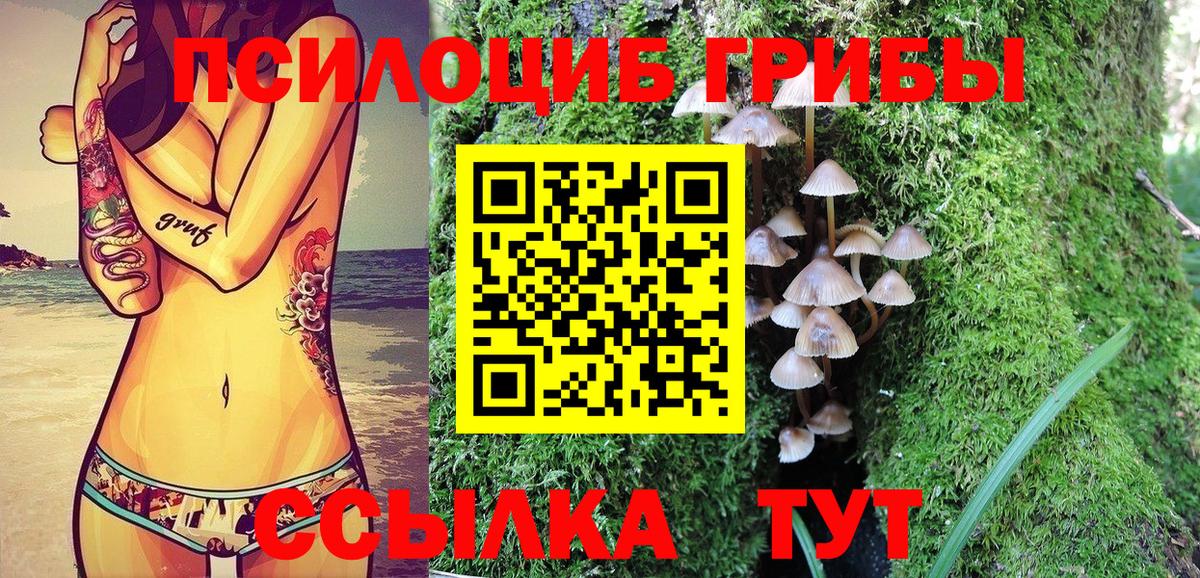 Калининград  Галлюциногенные грибы Magic Shrooms  Галлюциногенные грибы Psilocybe  Вход с VPN 