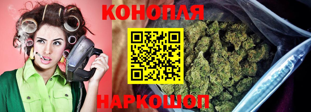 Марихуана сатива Калининград